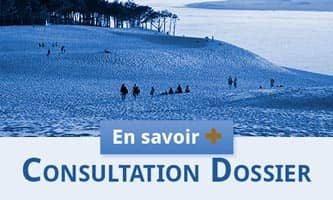 Consultation de dossier en ligne